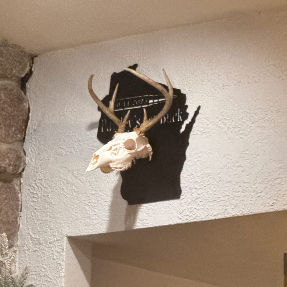 European Skull Wall Mount
