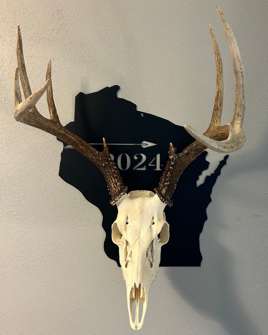 European Skull Wall Mount