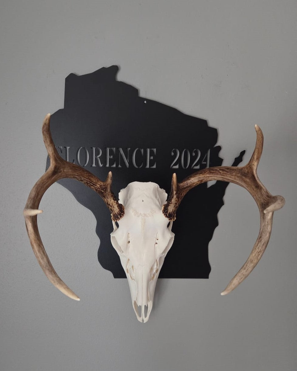 European Skull Wall Mount